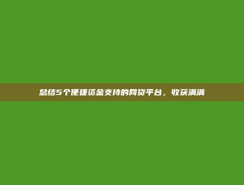 总结5个便捷资金支持的网贷平台，收获满满