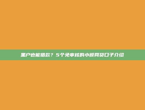 黑户也能借款？5个免审核的小额网贷口子介绍