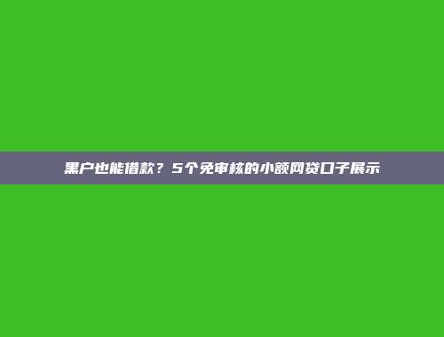 黑户也能借款？5个免审核的小额网贷口子展示