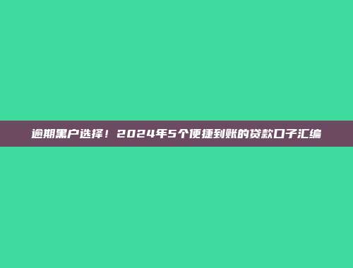 逾期黑户选择！2024年5个便捷到账的贷款口子汇编