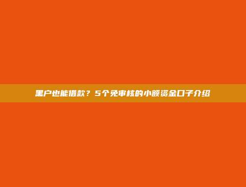 黑户也能借款？5个免审核的小额资金口子介绍