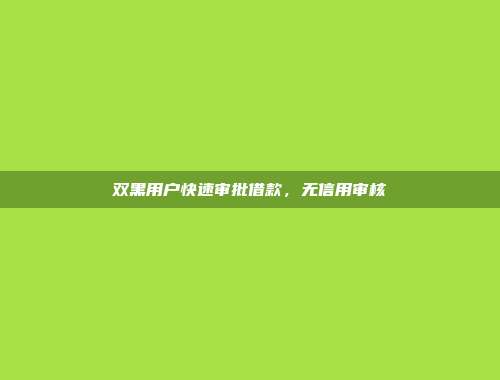 双黑用户快速审批借款，无信用审核