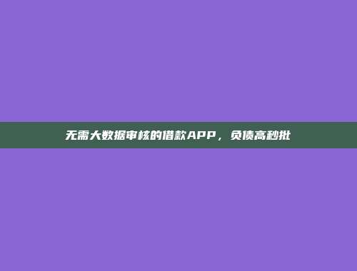 无需大数据审核的借款APP，负债高秒批