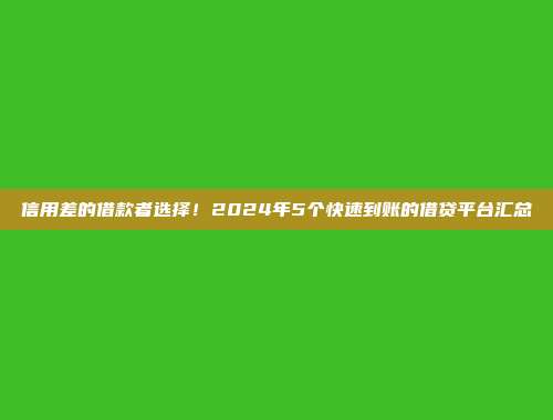 信用差的借款者选择！2024年5个快速到账的借贷平台汇总