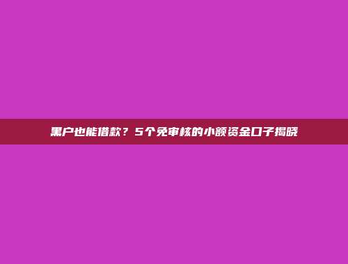 黑户也能借款？5个免审核的小额资金口子揭晓