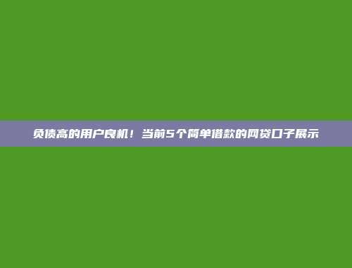 负债高的用户良机！当前5个简单借款的网贷口子展示