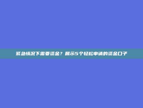 紧急情况下需要资金？展示5个轻松申请的资金口子