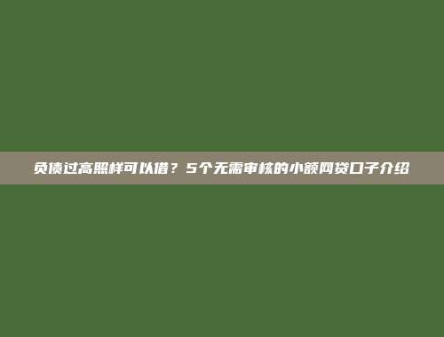 负债过高照样可以借？5个无需审核的小额网贷口子介绍