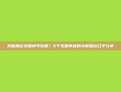 无信用记录照样可以借？5个无需审核的小额借款口子分享