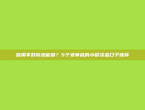 信用不好依然能借？5个免审核的小额资金口子推荐