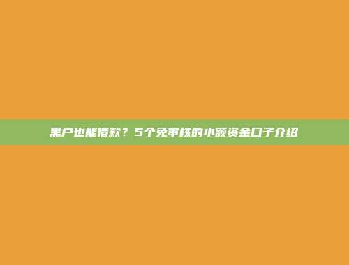 黑户也能借款？5个免审核的小额资金口子介绍