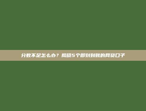 分数不足怎么办？揭晓5个即刻到账的网贷口子