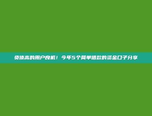 负债高的用户良机！今年5个简单借款的资金口子分享