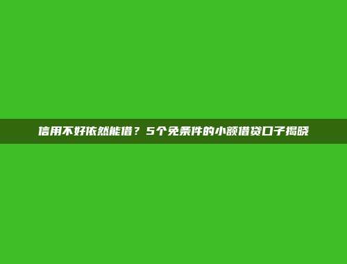 信用不好依然能借？5个免条件的小额借贷口子揭晓