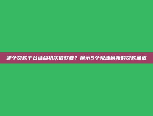 哪个贷款平台适合初次借款者？展示5个极速到账的贷款通道