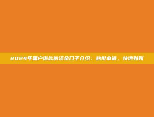 2024年黑户借款的资金口子介绍：秒批申请，快速到账