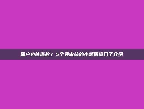 黑户也能借款？5个免审核的小额网贷口子介绍