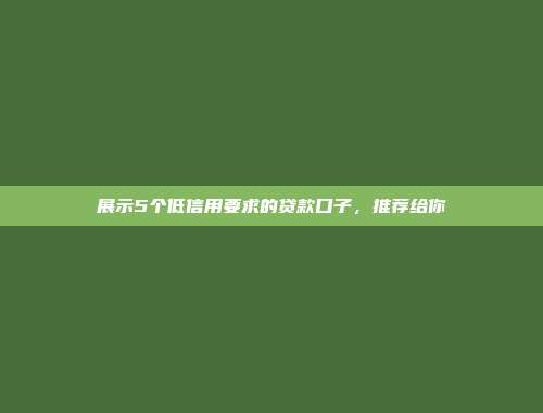 展示5个低信用要求的贷款口子，推荐给你