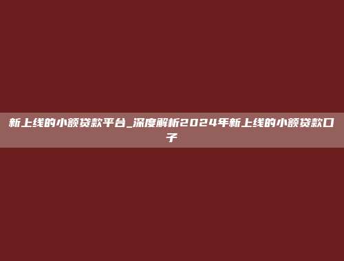 新上线的小额贷款平台_深度解析2024年新上线的小额贷款口子