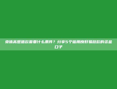 负债高想借款需要什么条件？分享5个信用良好易放款的资金口子