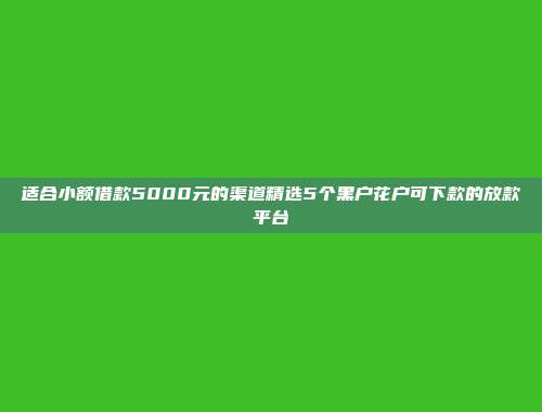 适合小额借款5000元的渠道精选5个黑户花户可下款的放款平台