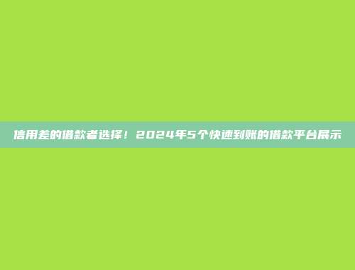 信用差的借款者选择！2024年5个快速到账的借款平台展示