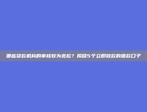 哪些贷款机构的审核较为宽松？揭晓5个立即放款的借款口子