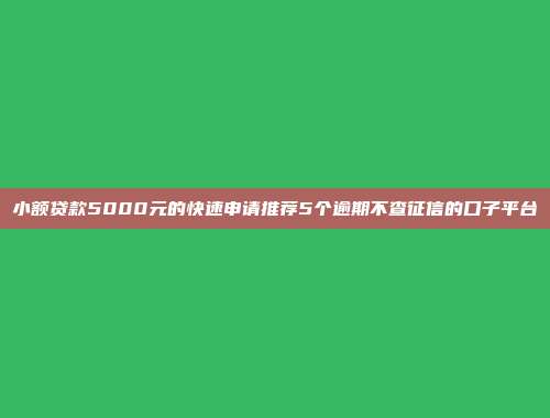 小额贷款5000元的快速申请推荐5个逾期不查征信的口子平台