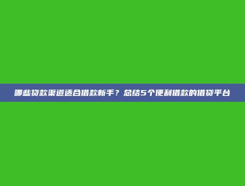 哪些贷款渠道适合借款新手？总结5个便利借款的借贷平台