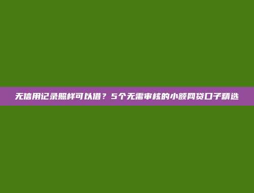 无信用记录照样可以借？5个无需审核的小额网贷口子精选