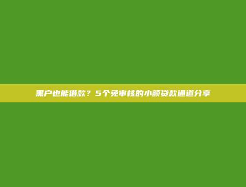 黑户也能借款？5个免审核的小额贷款通道分享