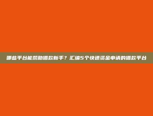 哪些平台能帮助借款新手？汇编5个快速资金申请的借款平台