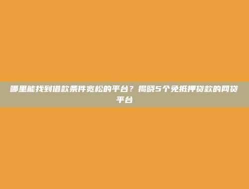 哪里能找到借款条件宽松的平台？揭晓5个免抵押贷款的网贷平台