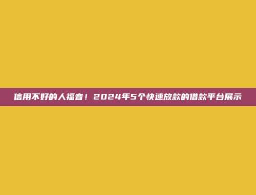 信用不好的人福音！2024年5个快速放款的借款平台展示