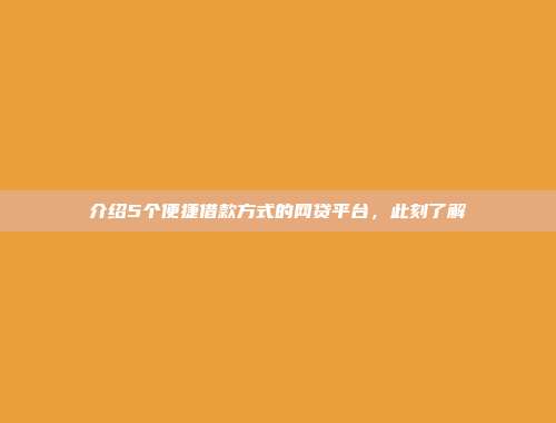 介绍5个便捷借款方式的网贷平台，此刻了解