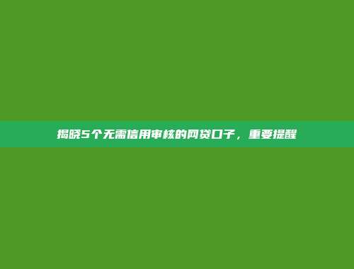 揭晓5个无需信用审核的网贷口子，重要提醒