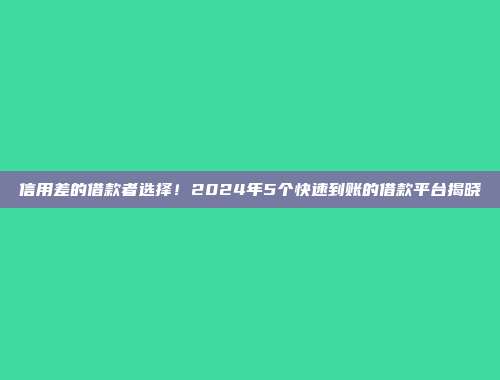 信用差的借款者选择！2024年5个快速到账的借款平台揭晓