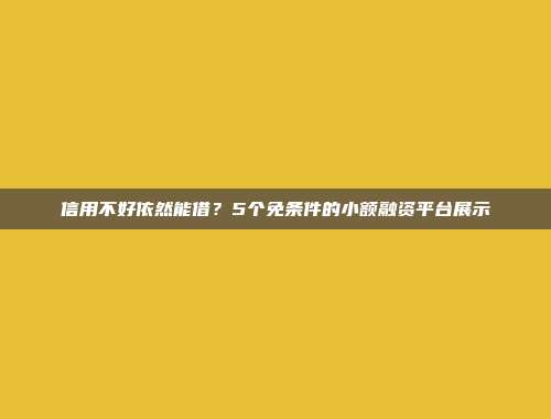 信用不好依然能借？5个免条件的小额融资平台展示