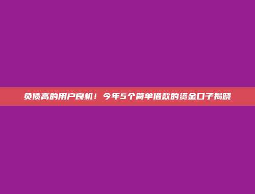 负债高的用户良机！今年5个简单借款的资金口子揭晓