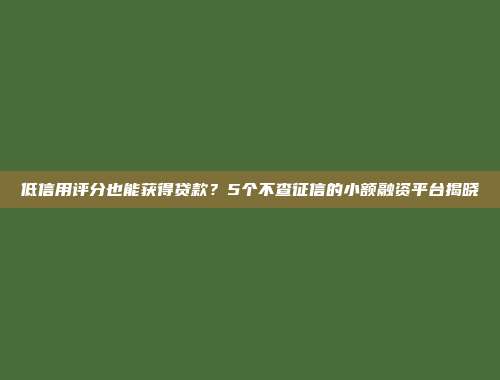 低信用评分也能获得贷款？5个不查征信的小额融资平台揭晓