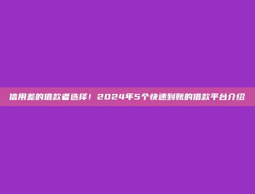 信用差的借款者选择！2024年5个快速到账的借款平台介绍