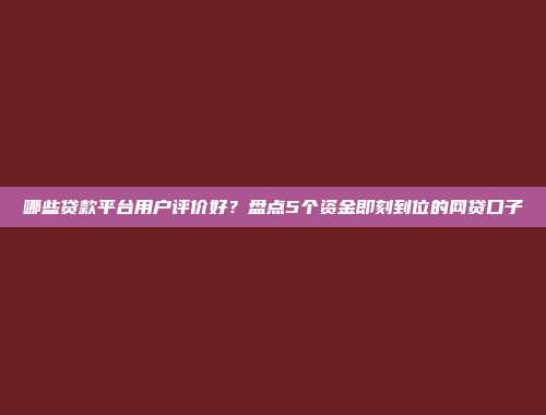 哪些贷款平台用户评价好？盘点5个资金即刻到位的网贷口子