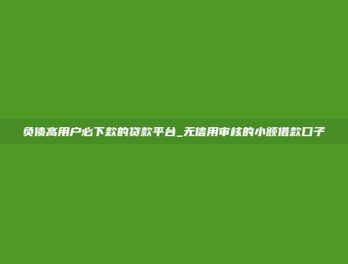 负债高用户必下款的贷款平台_无信用审核的小额借款口子