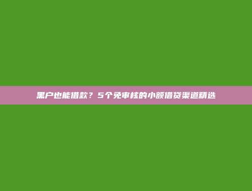 黑户也能借款？5个免审核的小额借贷渠道精选