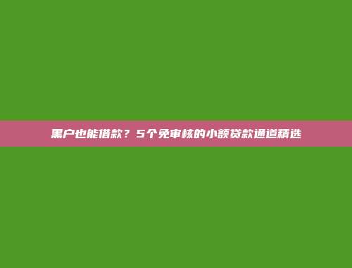 黑户也能借款？5个免审核的小额贷款通道精选