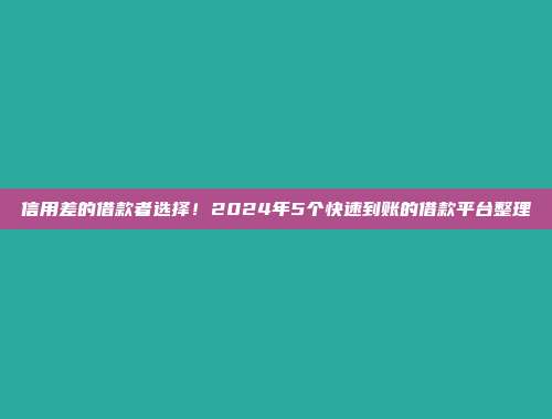 信用差的借款者选择！2024年5个快速到账的借款平台整理