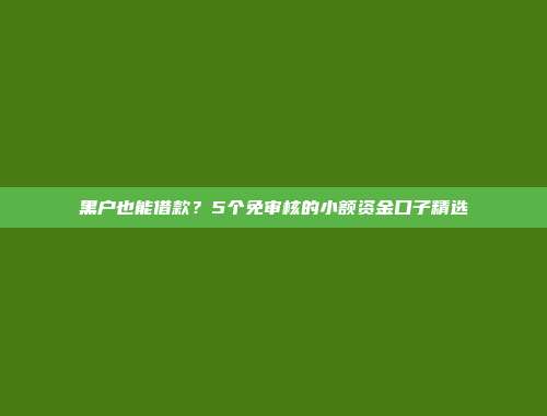 黑户也能借款？5个免审核的小额资金口子精选