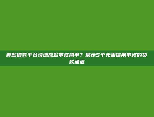 哪些借款平台快速放款审核简单？展示5个无需信用审核的贷款通道