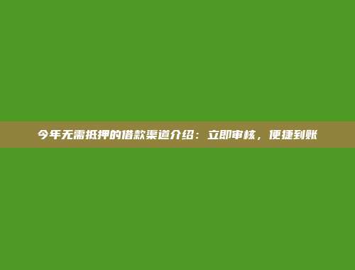 今年无需抵押的借款渠道介绍：立即审核，便捷到账