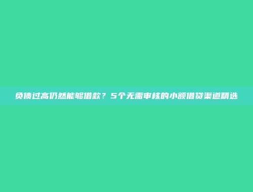 负债过高仍然能够借款？5个无需审核的小额借贷渠道精选